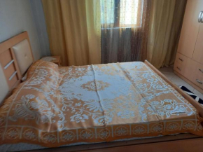 Vila Metgjoni